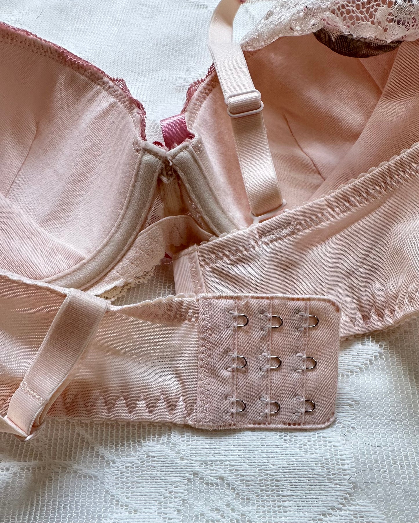 Vintage Rose Bustier Bra featuring Rose Petals