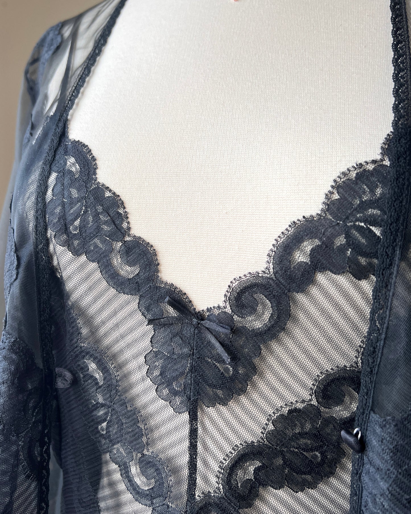 RARE Dark Feminine Nightgown Set includes Complete Sheer Bodice Maxi Slip