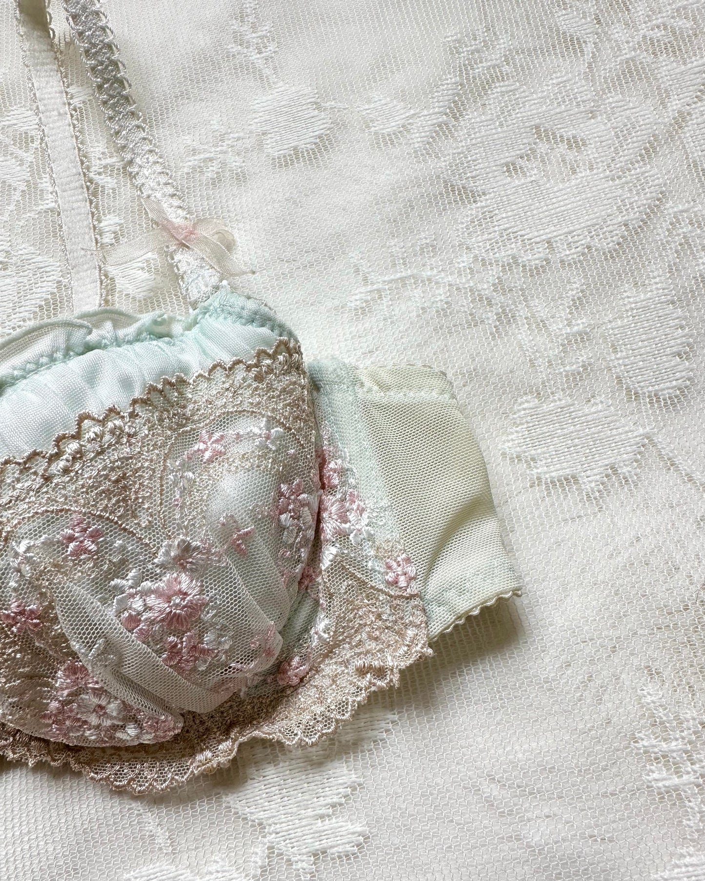 Vintage Baby Blue Brocade Bustier Bra